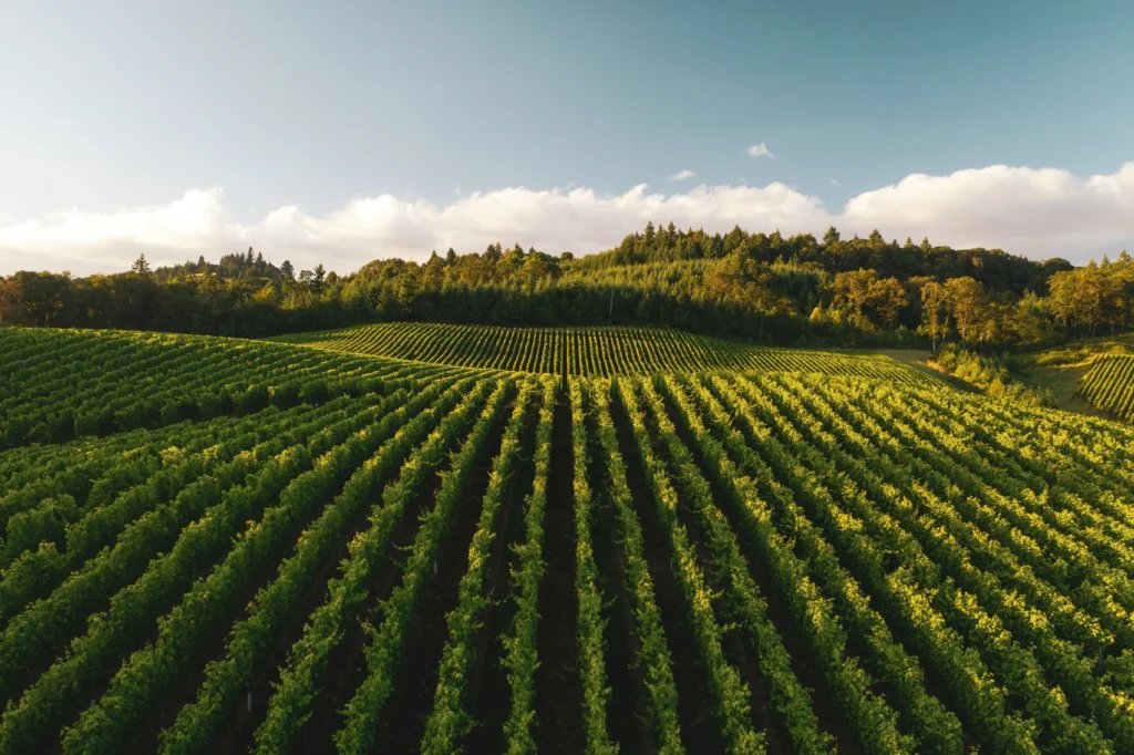 secteur de l'agriculture ou solus pourais etre utilisé