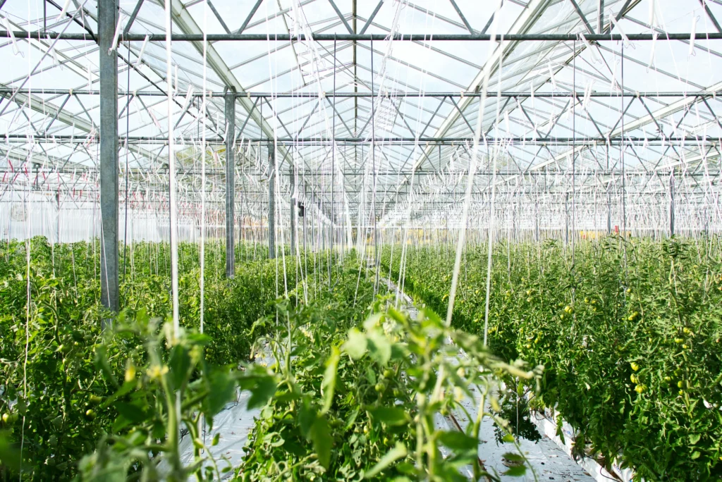 secteur de l'agriculture ou solus pourais etre utilisé