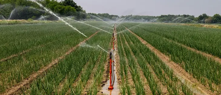secteur de l'agriculture